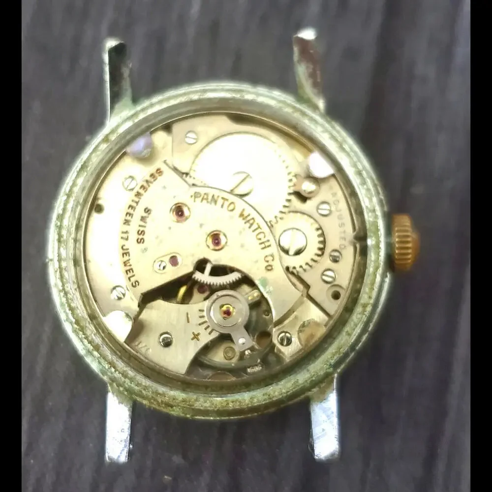 Antique Paul‎ Rivage 17 Jewel Swiss Mens Wrist Watch Running
